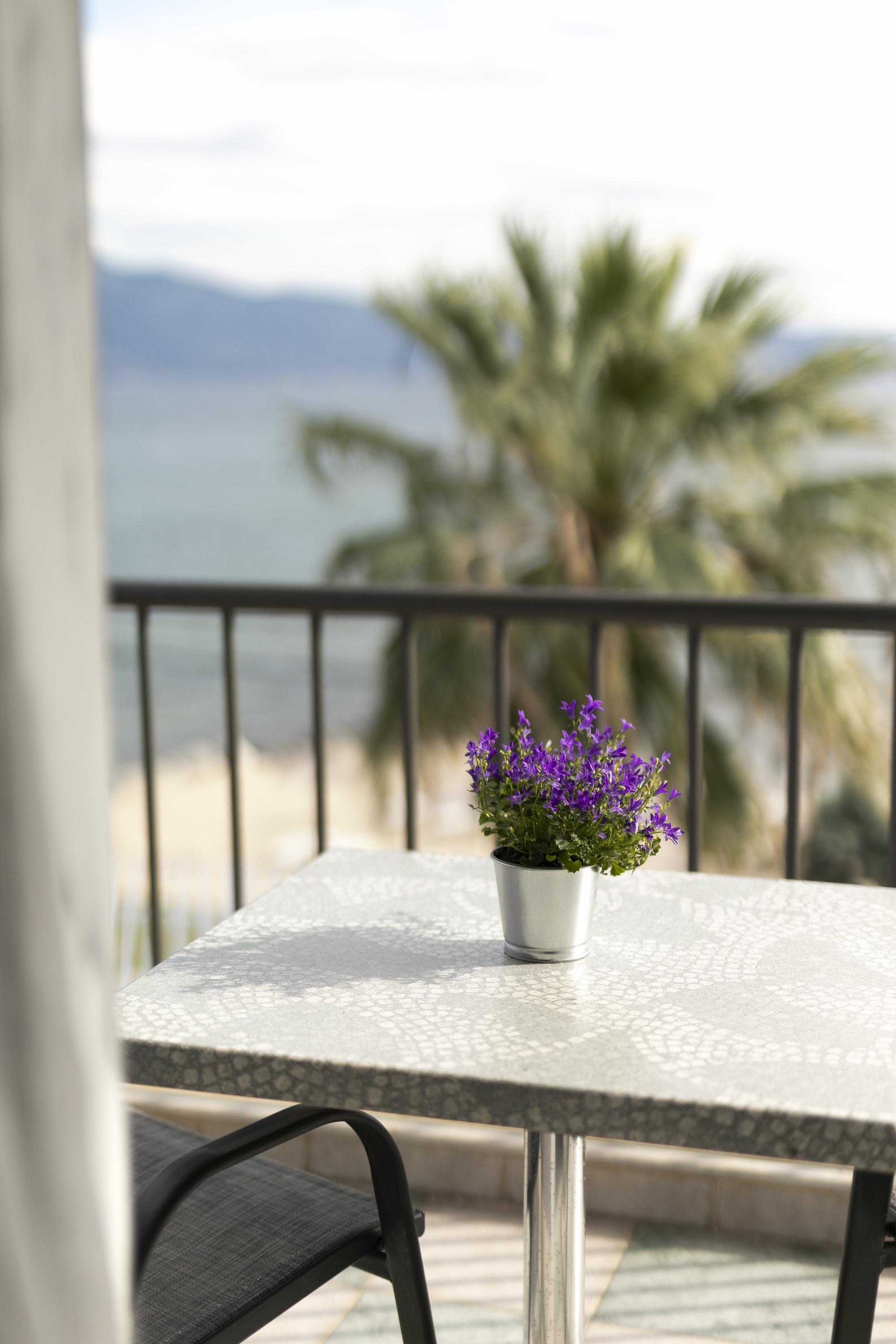 Calma Hotel
